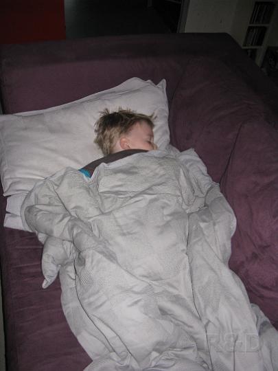 Imme 19 januari 2009 (1).JPG